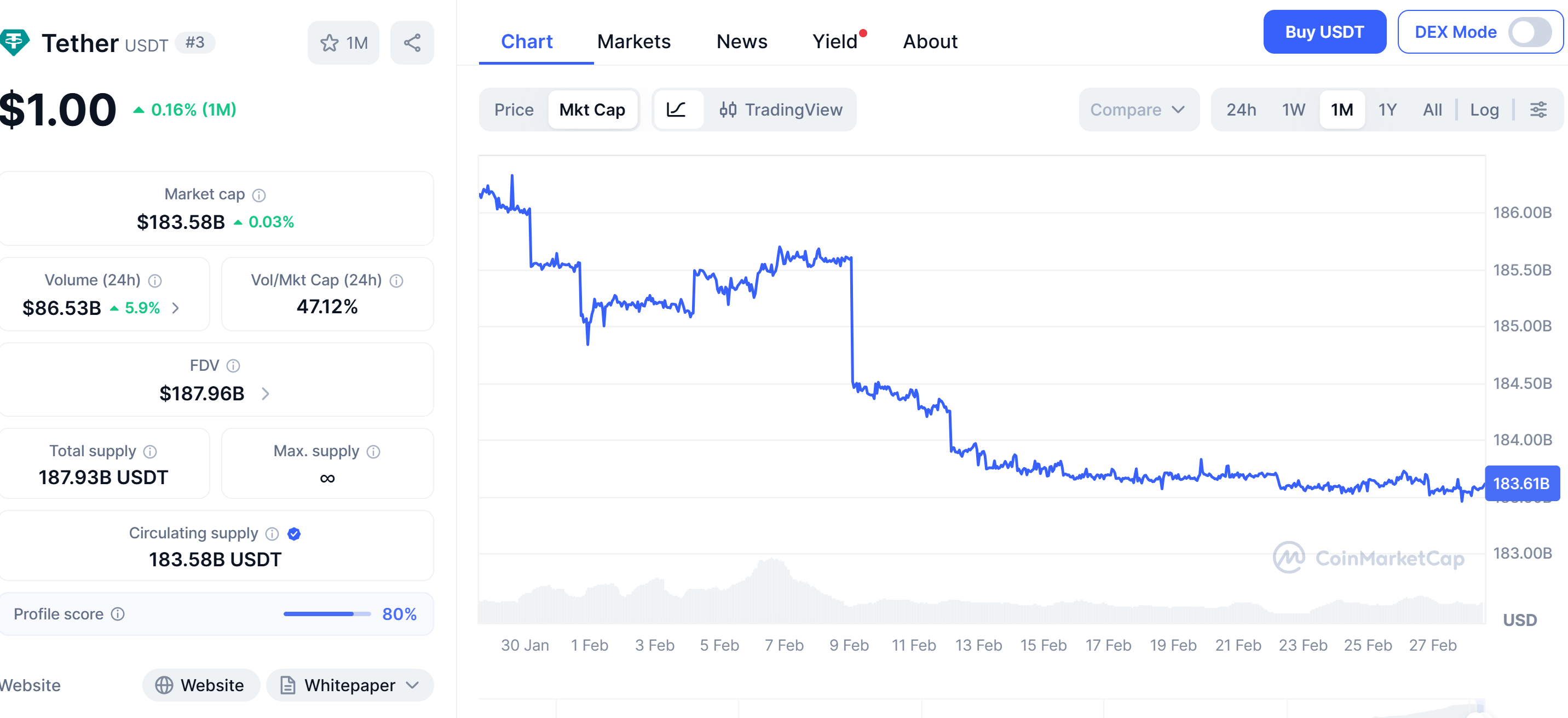 USDt market cap drops