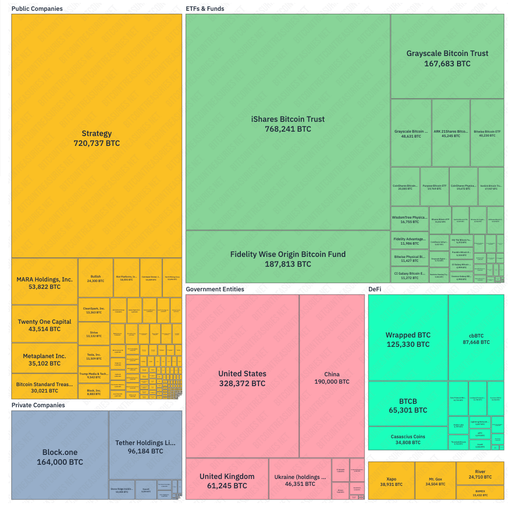 مايكروستراتيجي، مايكل سايلور