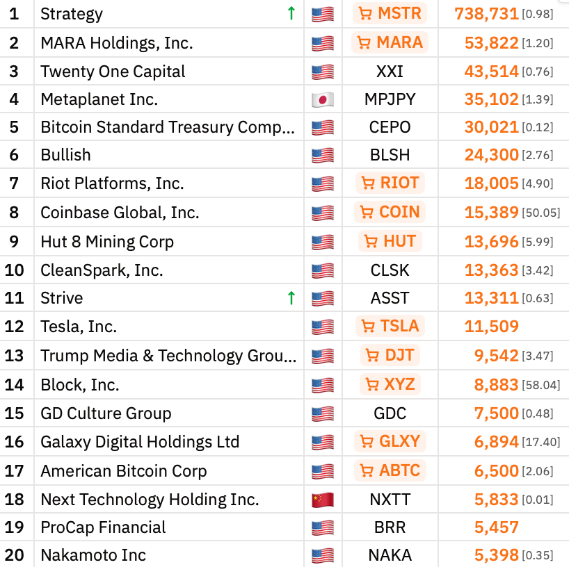 Top 20 Bitcoin treasury companies